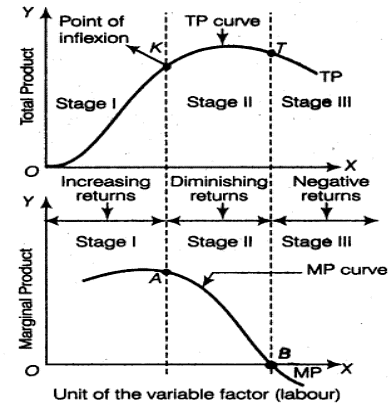Important Questions: Production & Costs | Economics Class 11 - Commerce