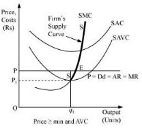 NCERT Solutions for Class 11 Economics - The Theory Of The Firm Under Perfect Competition