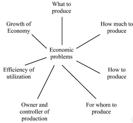 Important Questions: Indian Economy 1950 - 1990 | Economics Class 12 - Commerce