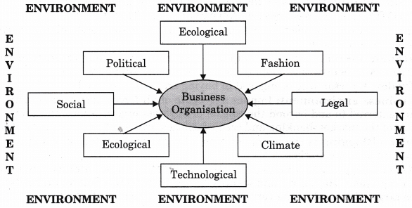 NCERT Solution- Entrepreneurial Opportunities | Entrepreneurship Class 12 - Commerce