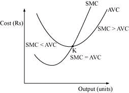 NCERT Solutions for Class 11 Economics - Production and Costs