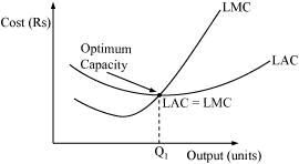 NCERT Solutions for Class 11 Economics - Production and Costs