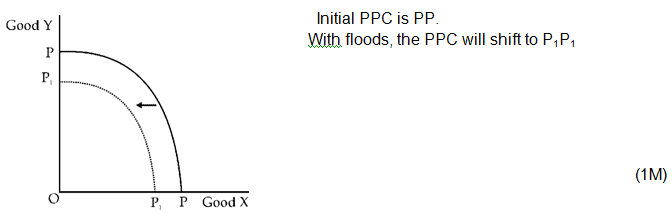 CBSE Sample Question paper - 06 Economics, Class 12 | Sample Papers for Class 12 Commerce