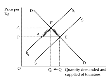 CBSE Sample Question paper - 06 Economics, Class 12 | Sample Papers for Class 12 Commerce