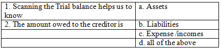 Worksheet Solutions: Trial Balance and Rectification of Errors | Accountancy Class 11 - Commerce