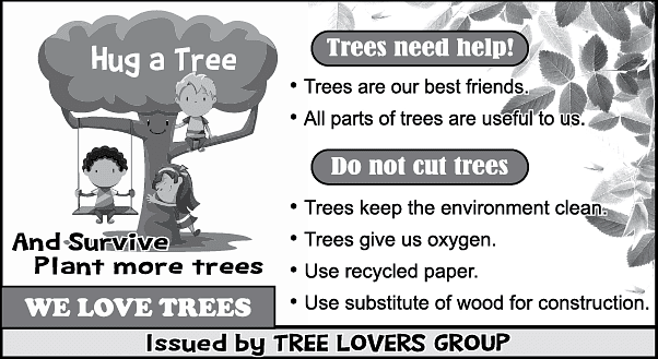 Section B - Writing and Grammar