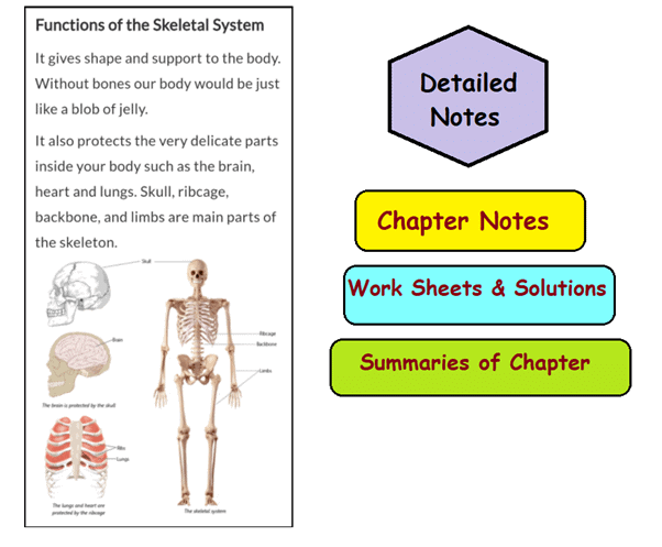 What do you get under EduRev Infinity Package for Class 3? | English Grammar Class 3