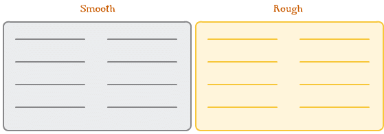 NCERT Solutions for Class 4 EVS Chapter 15 - From Market to Home
