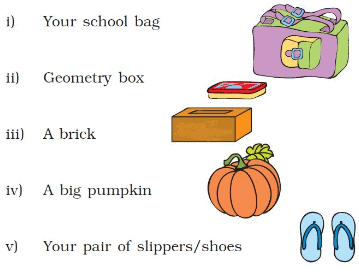 NCERT Solutions for Class 3 Maths Chapter 8 - Who Is Heavier