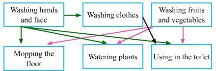 Drop by Drop NCERT Solutions | EVS for Class 3