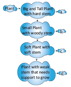 Science Olympiad Previous Year Paper - 3 | Science Olympiad for Class 2