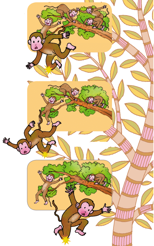 Picture Time NCERT Solutions | English for Class 1 (Mridang)