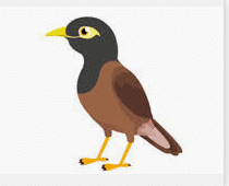 NCERT Solutions for Class 2 English - I am Lucky
