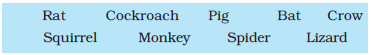 Our Friends – Animals NCERT Solutions | EVS for Class 3