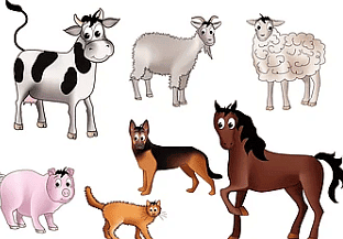Domestic Animals - 2 Class 2 Worksheet Science