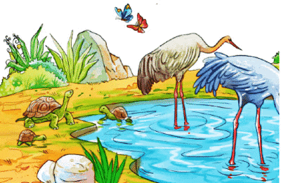 Worksheet: तालाब | Worksheets with solutions for Class 2