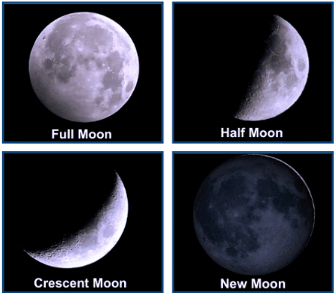 Earth and Universe Chapter Notes | Science Olympiad for Class 2