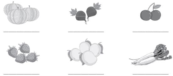 Worksheet 11 - Vocabulary | Worksheets with solutions for Class 3