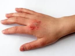 Safety and First Aid Class 4 Notes Science