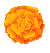 The Valley of Flowers - 2 Class 4 Worksheet EVS Chapter 11