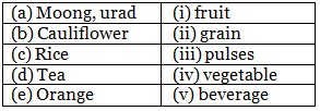 Food from Plants - 1 Class 1 Worksheet Science