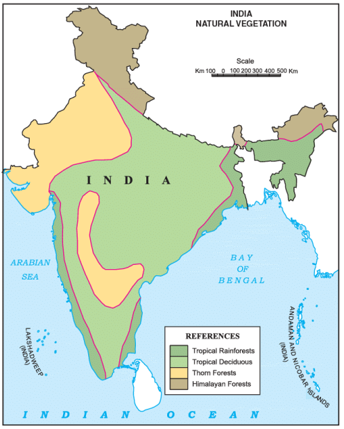 India – Natural Vegetation