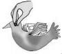 NCERT Solutions for Class 3 English Unit 2 - Nina and the Baby Sparrows