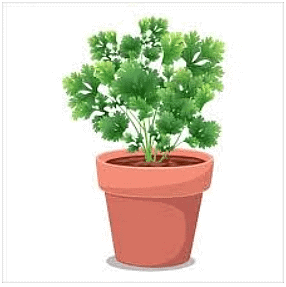 Q4: Answer the following Questions.