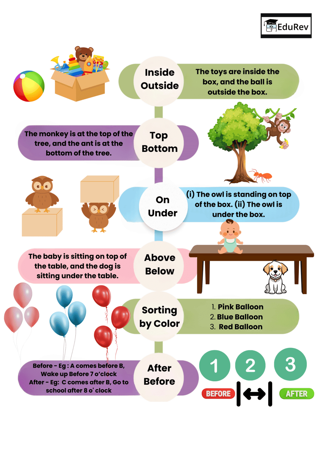 Mind Map: Finding the Furry Cat! (Pre-number Concepts) | Mathematics for Class 1: NCERT (Joyful-Mathematics)