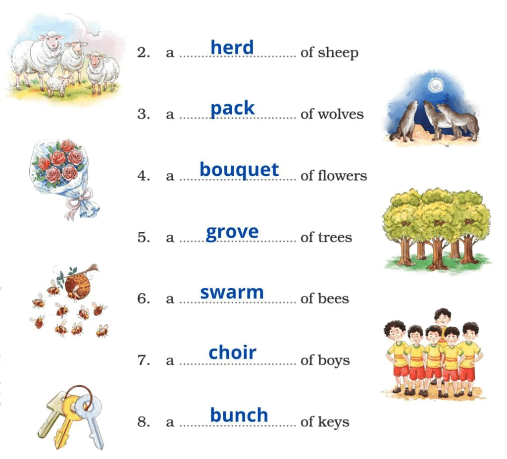 NCERT Solutions for Class 4 English Chapter 1 - Together We Can