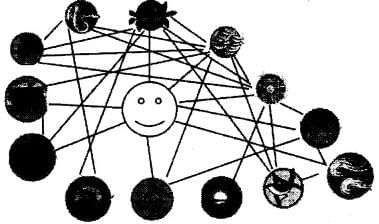 Web of Life NCERT Solutions | EVS for Class 3