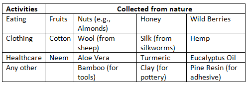 NCERT Solutions for Class 4 EVS Chapter 4 - Growing up with Nature