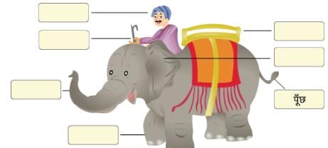 हाथी चल्लम चल्लम NCERT Solutions | NCERT Textbooks & Solutions (Class 1 to Class 5) - DSSSB TGT/PGT/PRT