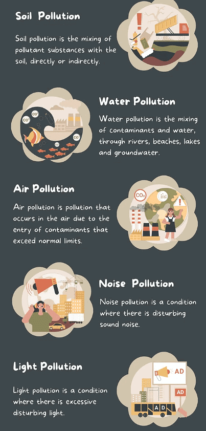 Earth and Environment | Social Science Olympiad Class 4