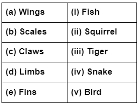 Class 4 Science - Adaptation in Animals - CBSE Worksheets Solutions - 1
