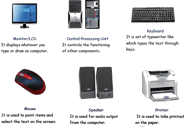 Fundamentals of Computer | Computer Science for Class 3