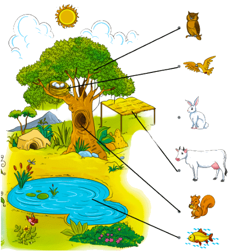 रीना का दिन NCERT Solutions | Hindi for Class 1 (सारंगी)