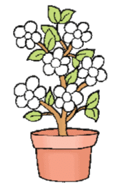 NCERT Solutions for Class 1 Maths Chapter 2 - Numbers from One to Nine