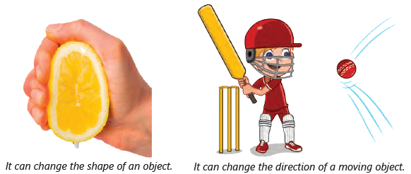 Light, Sound and Force Class 3 Notes Science