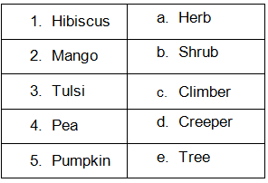 Plants Around Us - 1 Class 2 Worksheet Science