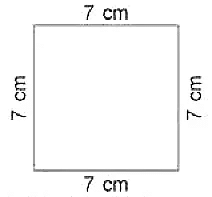 Perimeter and Area Class 4 Worksheet Maths Chapter 9