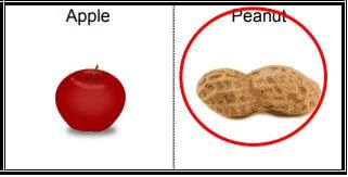 Measurement - 2 Class 1 Worksheet Maths