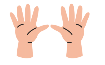 Short Answer Questions: Numbers Up to 20 | Mathematics for Class 1
