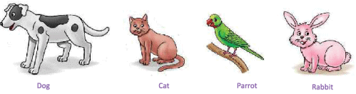 Animals Around Us Class 1 Notes EVS