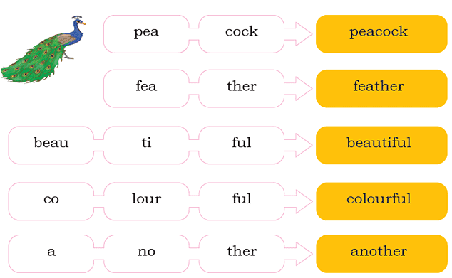 The Crow NCERT Solutions | English for Class 2 (Mridang)