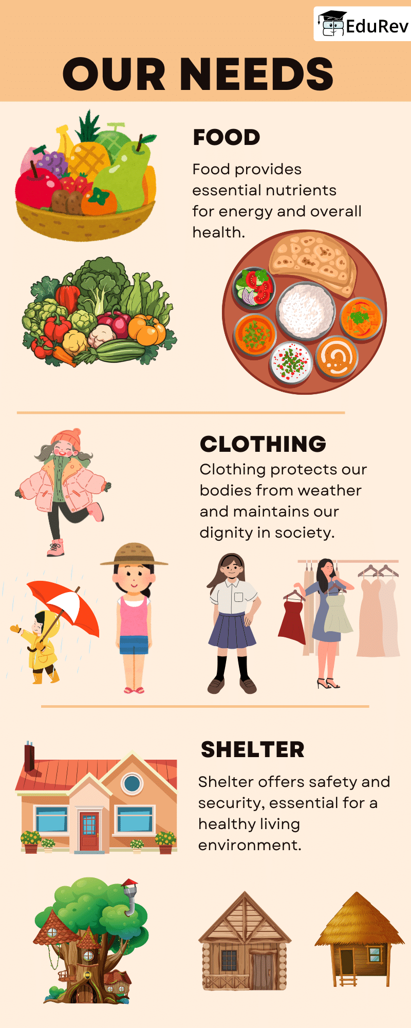 Infographics: Our Needs: Food, Shelter & Clothing | Science for Class 1