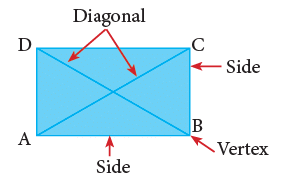 Geometry Class 3 Notes Maths