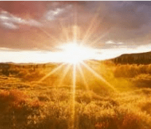 NCERT Solutions for Class 3 English Unit 1 - The Magic Garden