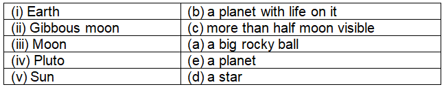 The Solar System - 2 Class 4 Worksheet Science