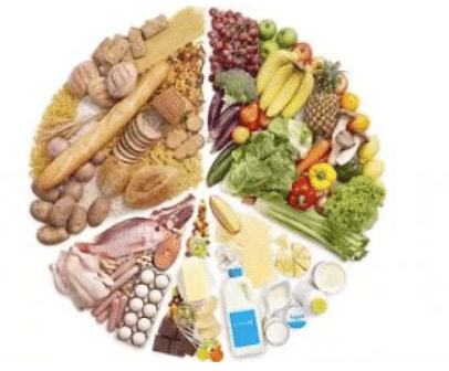 Food: Our Basic Need - 2 Class 6 Worksheet Science